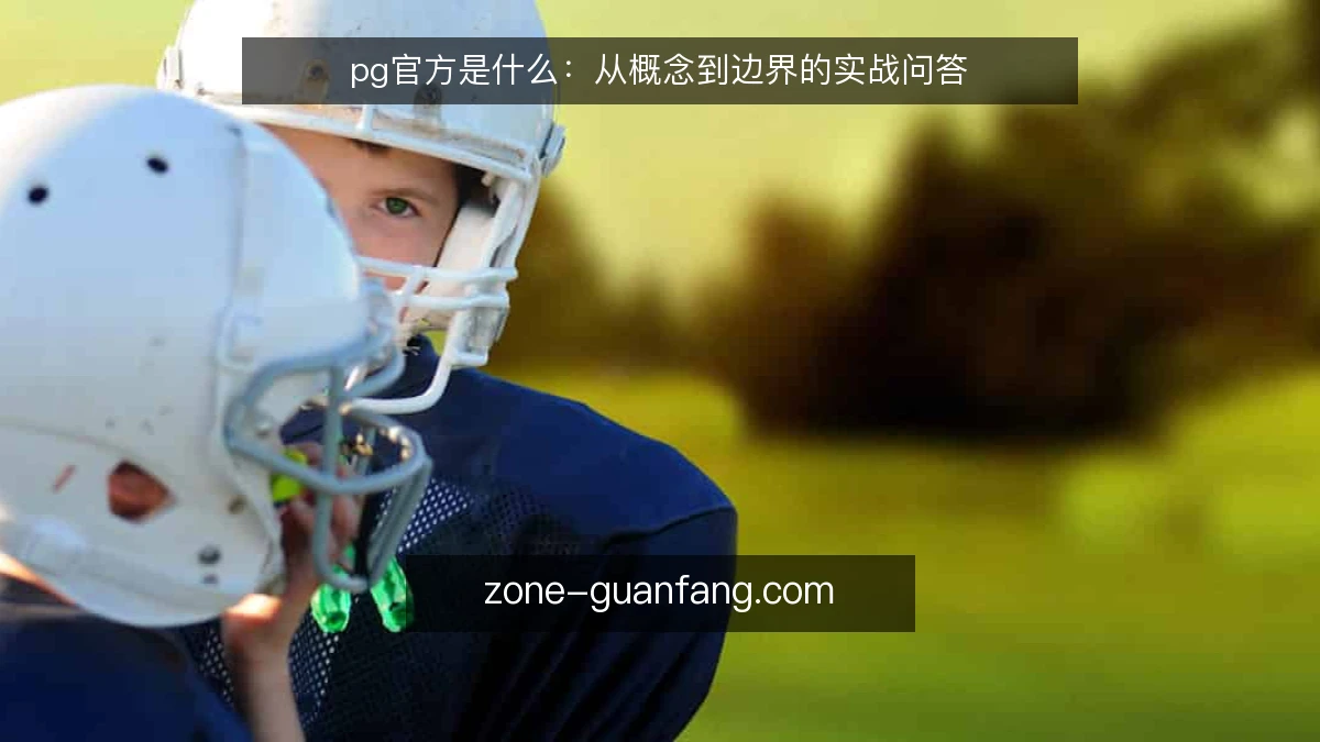 pg官方是什么:从概念到边界的实战问答