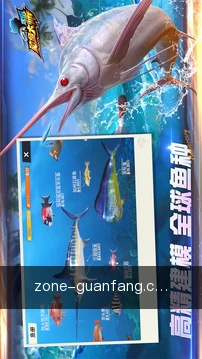 规则精讲